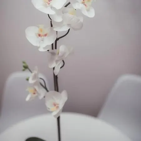 アパート Feel - Old Town With Parking